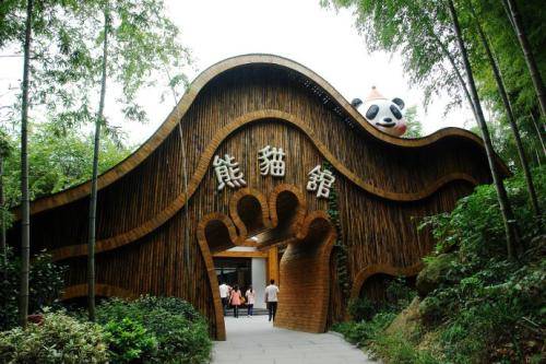 三省|南山竹海太美了