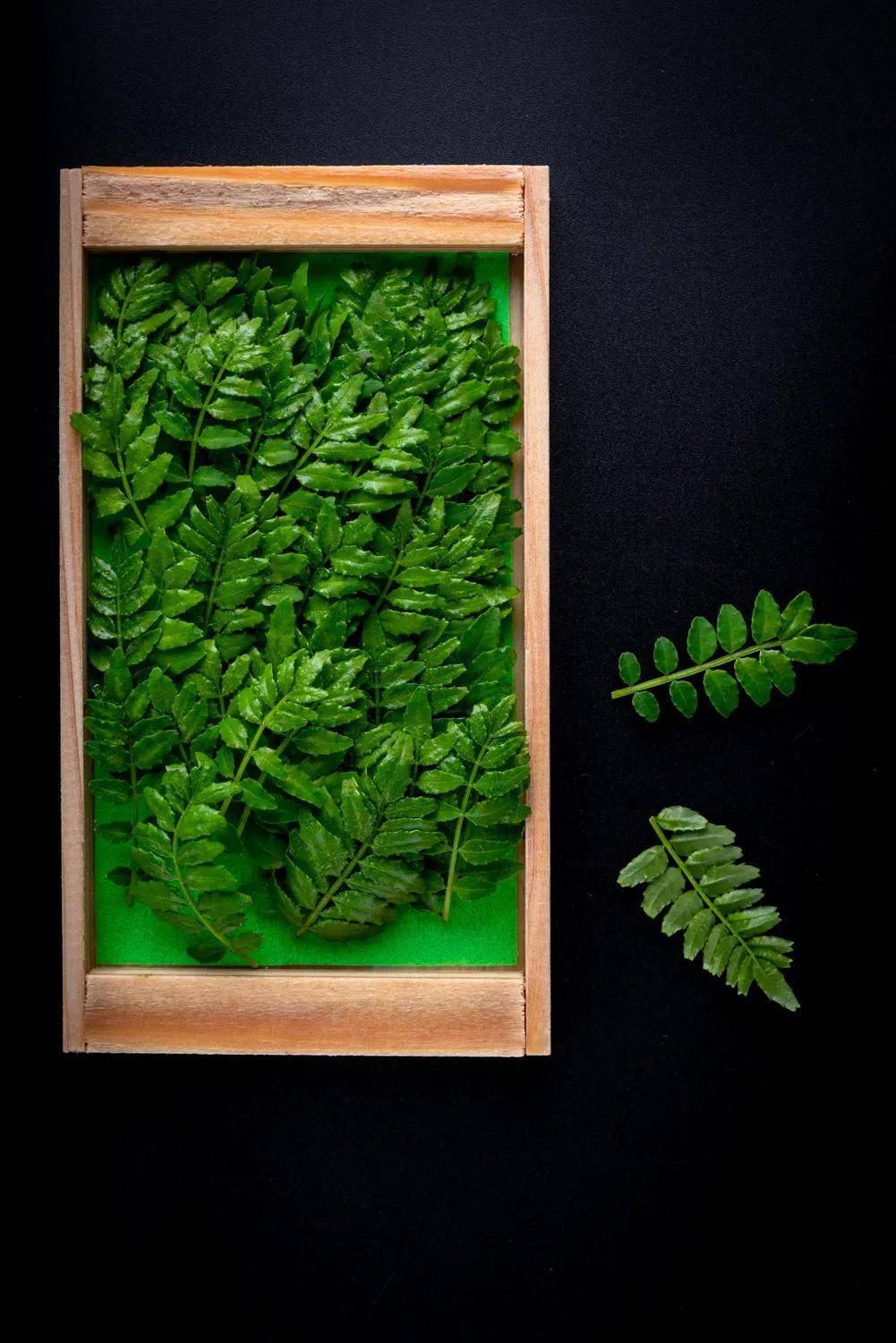 高仓汇佳店 致敬经典 致敬京都三百年的匠人传承 日本