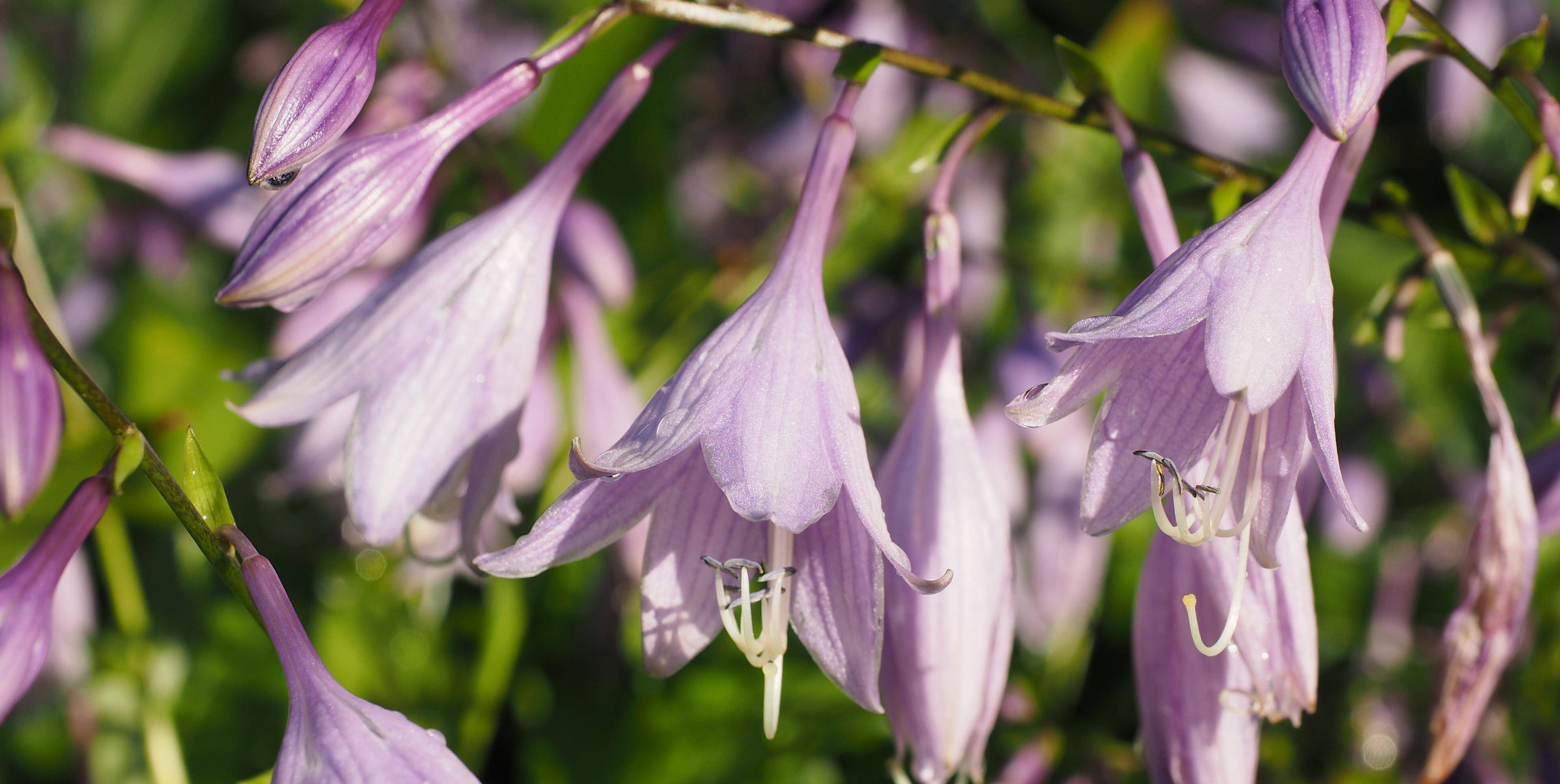 21年3月13日爱情运势 携手相伴 收获幸福的四大星座 伴侣