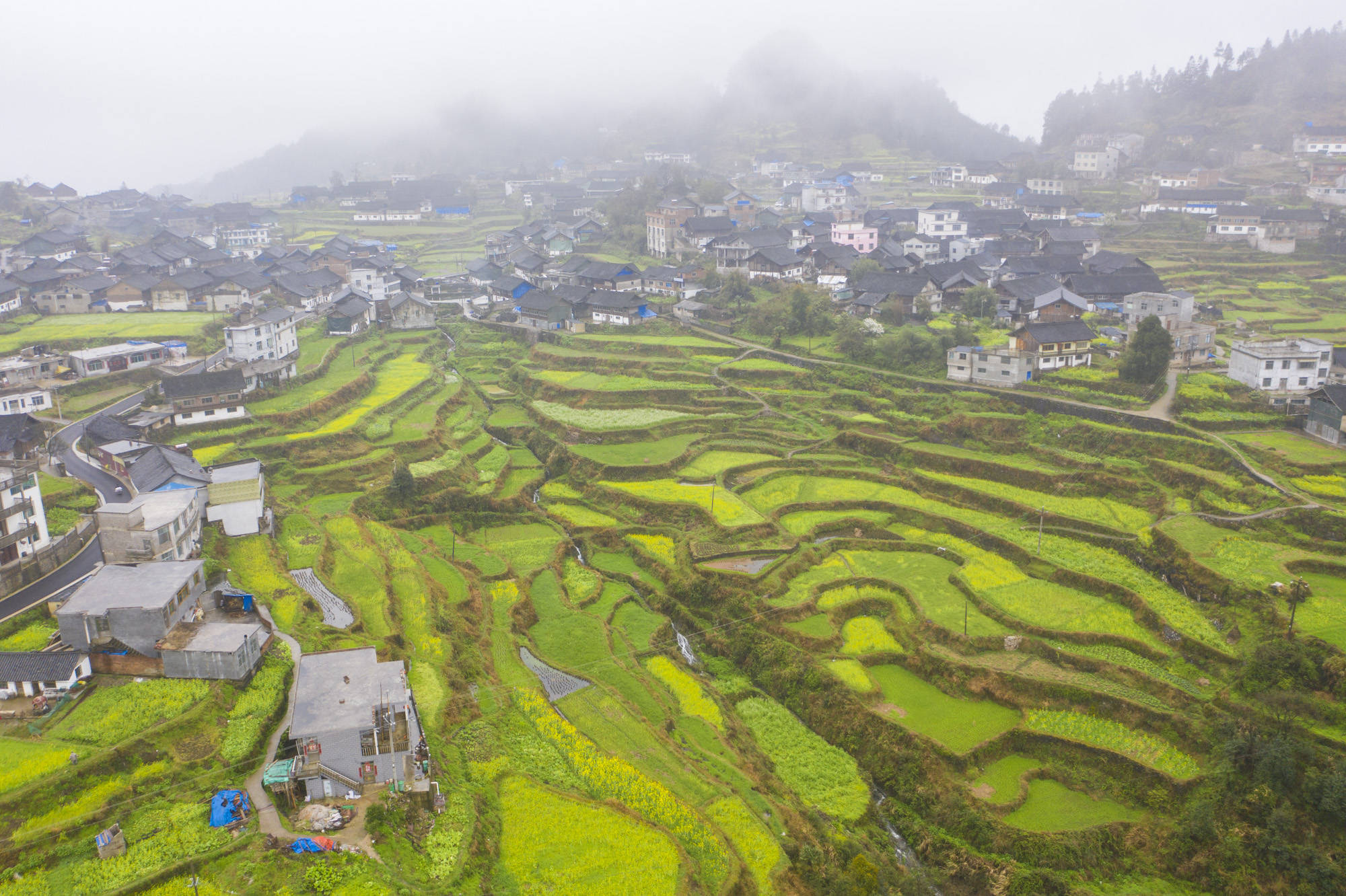 黔东南最适合养老的县，小村庄建在花海梯田里，简直就是人间仙境