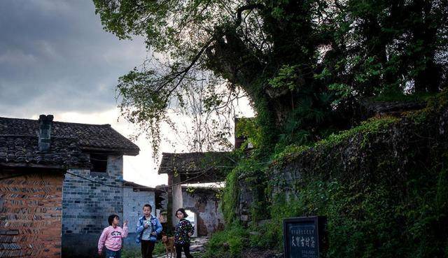 中国传统古村落“意外走红”，拥有赣派建筑风格，被称“小南京”
