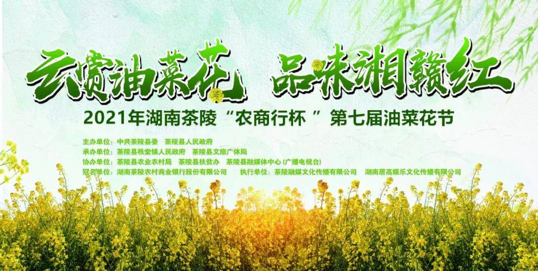 中国原创音乐人陈斌助力2021湖南茶陵第七届油菜花节
