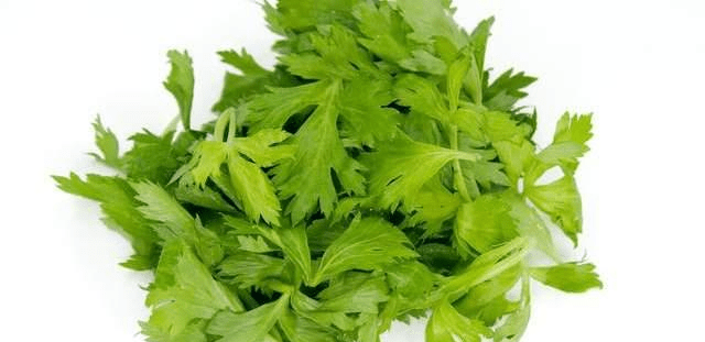 如何炒芹菜叶好吃 9d08c950a005412280c648461455cf15.png