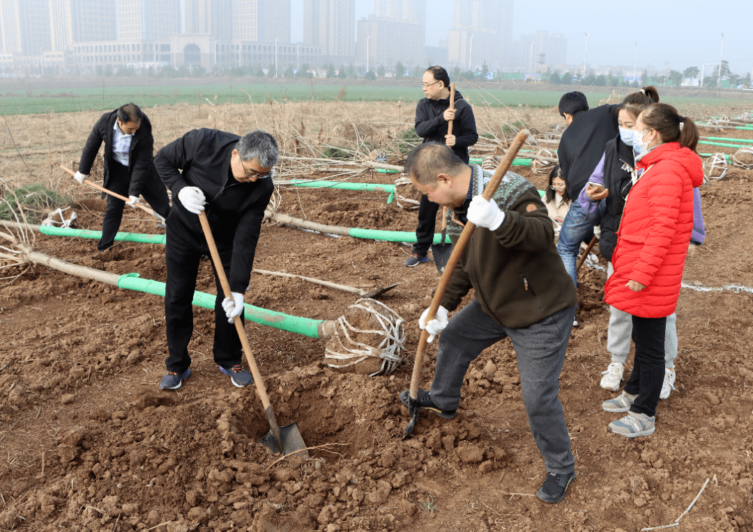 树苗,挥锹铲土,培实新土,堆起围堰…每道工序都认真细致,一丝不苟