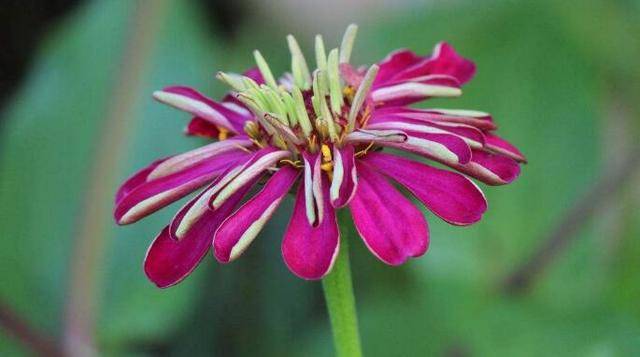 21年4月5月6月7月与富贵同在 与幸福相随的3生肖 宫得