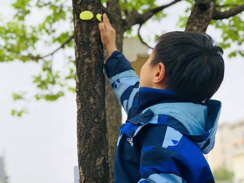小朋友们像一只只勤劳的小蜜蜂,忙着给蘑菇园的植物们浇水,施肥.