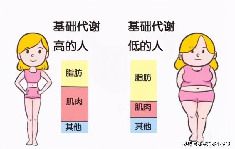 怎样减肥最快减80斤 6e713fbb72bc4a80a251b678312982b7.jpeg