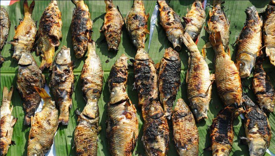 侗族琵琶歌之乡榕江晚寨