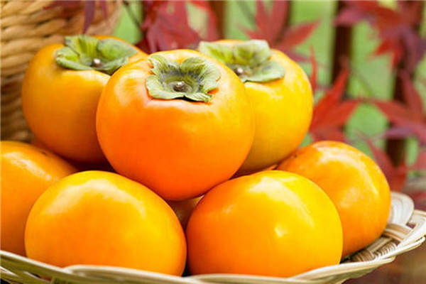 特产早知道五原县黄柿子