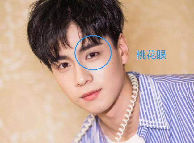 "吊眼梢","桃花眼",你家娃是哪种?