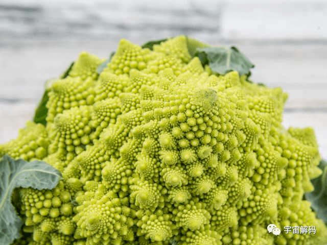 科学家发现神奇图案 上帝指纹 宇宙