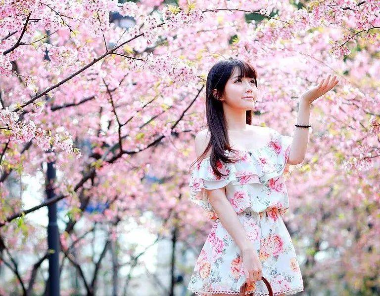 杭州西湖区这场醉美樱花盛会，邀您免费来玩！