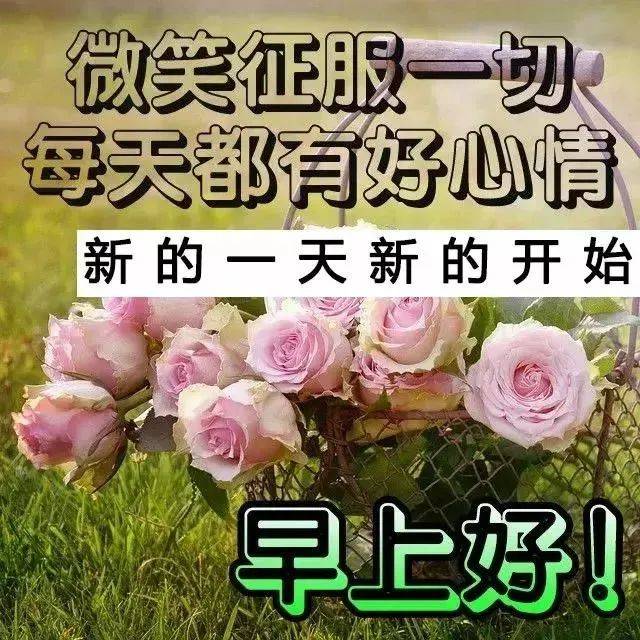 6張創意漂亮免打字早上好圖片帶祝福語 2021最新早上問候語圖片帶字