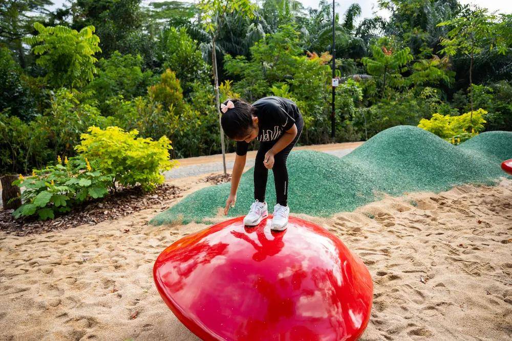 新加坡生活| 植物园内推出新景点，这个假期记得带孩子去游玩！