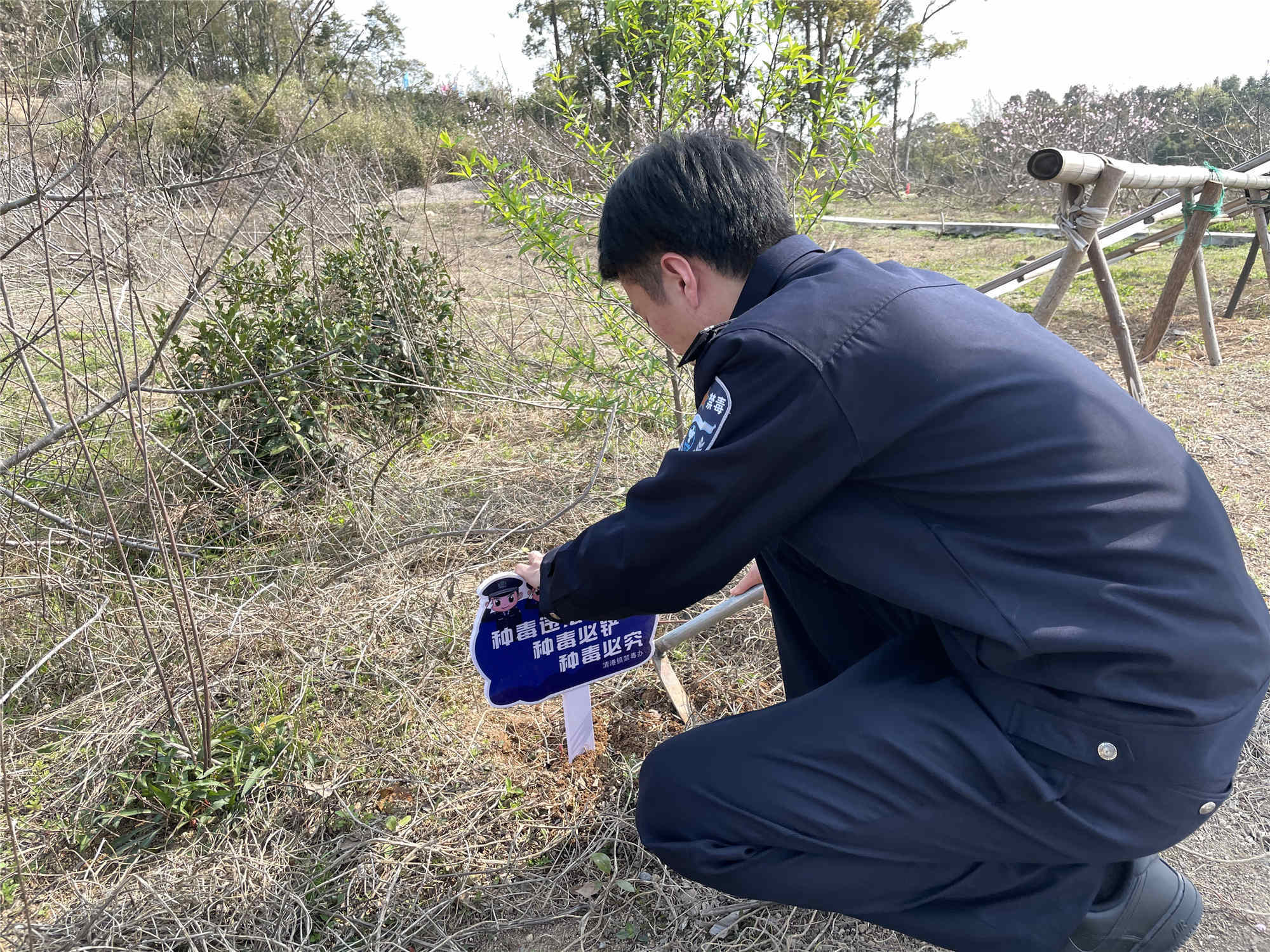 禁种铲毒,人人有责 清港镇禁种铲毒踏勘活动进行中