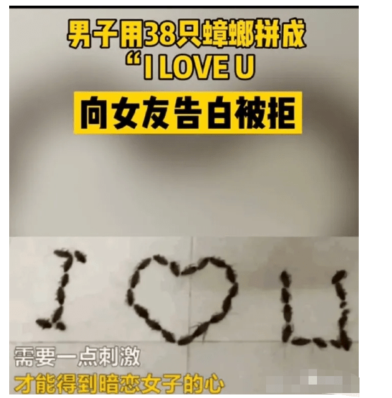 什么荿盛成语_成语故事简笔画(2)