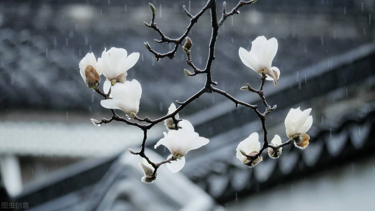 云烟轻卷草木微摇沐一场人间春色听一曲雨落情长