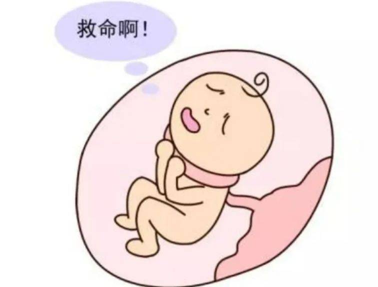 妊娠相关知识之脐带