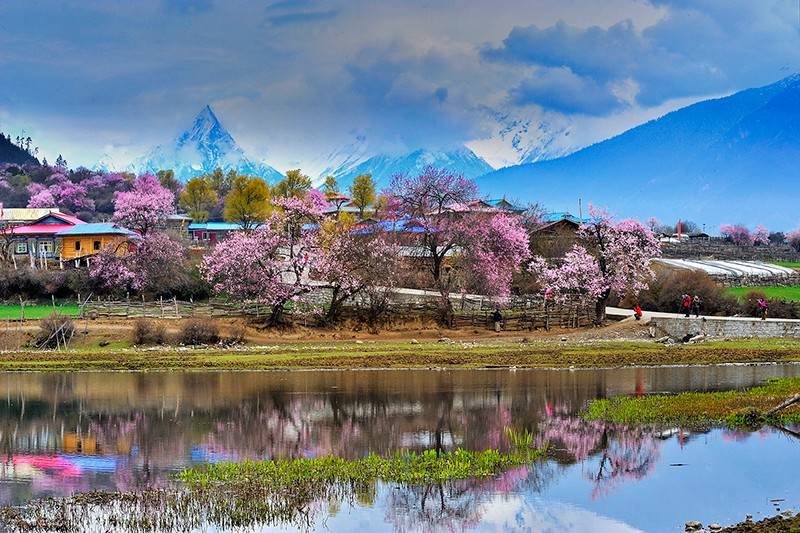 2021西藏林芝桃花节时间确定：一起到林芝欣赏十里桃花！