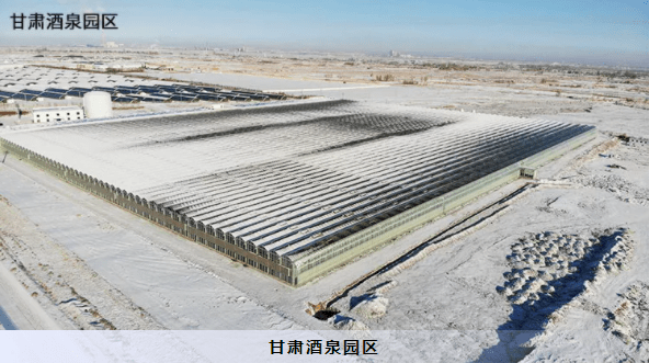 建设|【江苏绿港】智能玻璃温室打造现代农业典范！