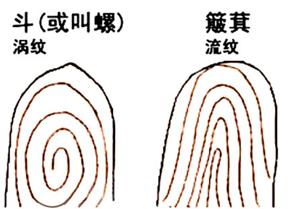 老人口中的凤眼是什么意思_凤眼是什么样子的图片(3)