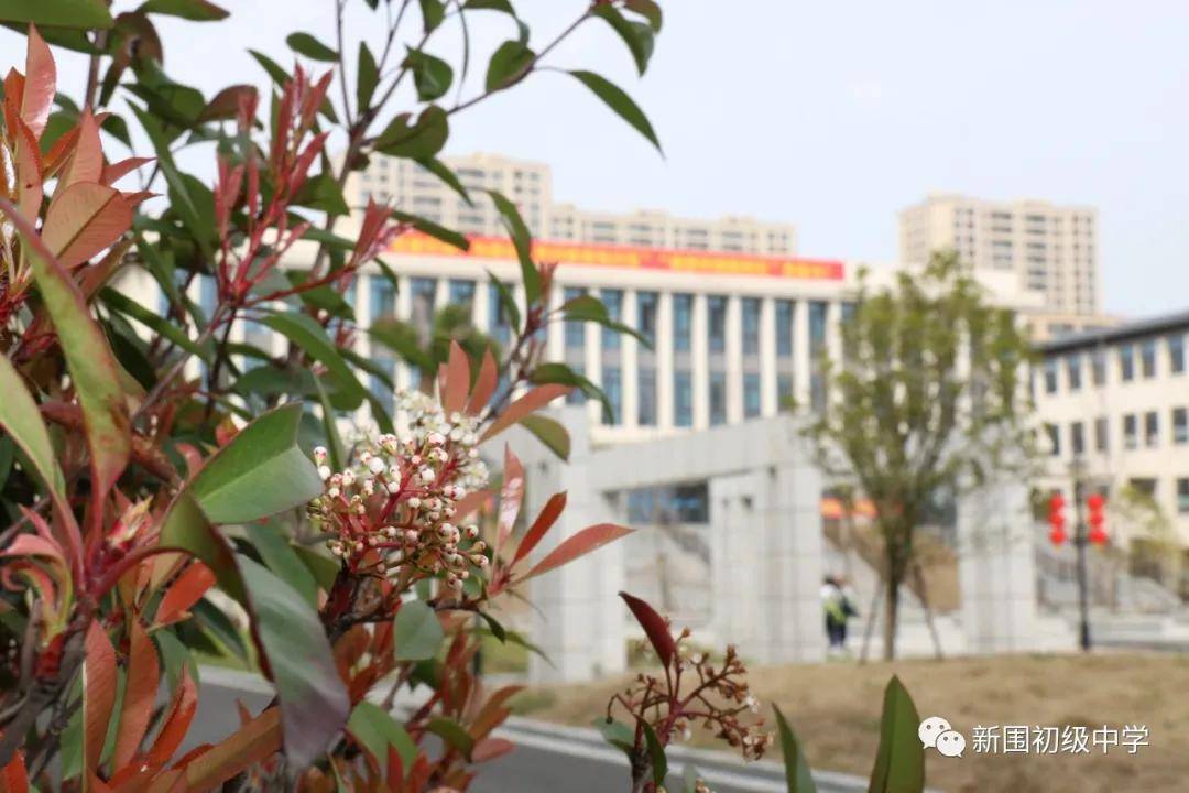 校园春色关不住,争芳斗艳惹人醉_新中