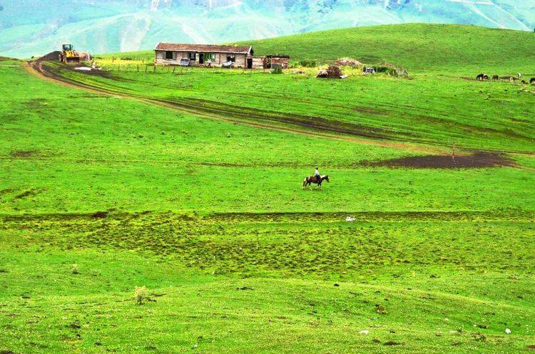 新疆伊犁有个美丽的村庄，沿途风景绝美壮观，免门票游客少