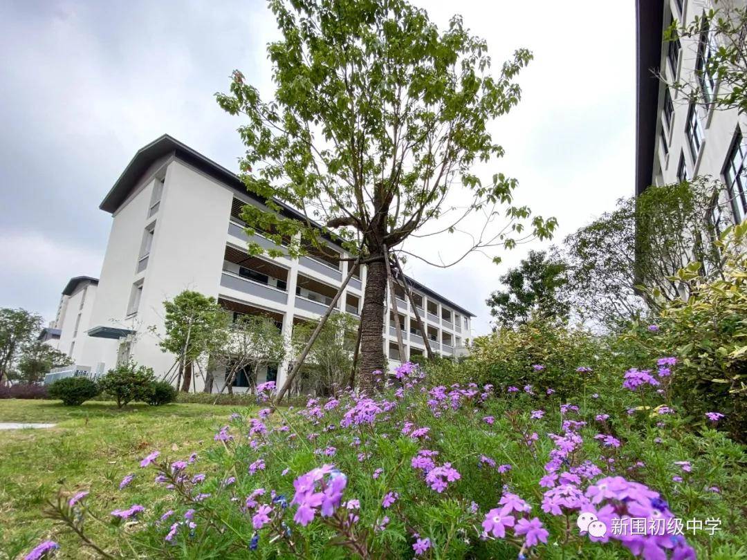 校园春色关不住,争芳斗艳惹人醉_新中