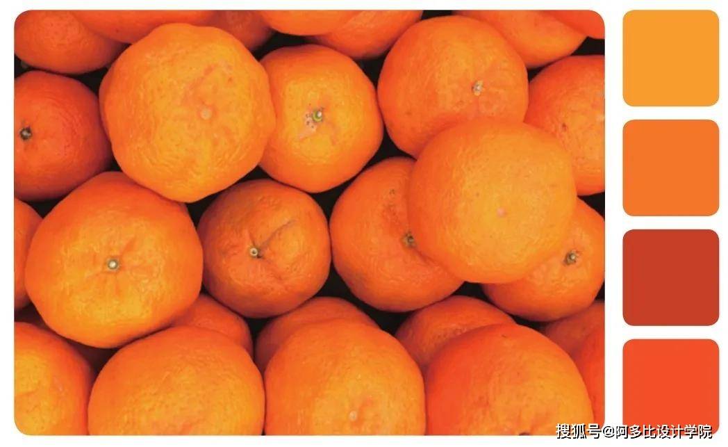 色彩明媚的配色卡,治愈又舒适