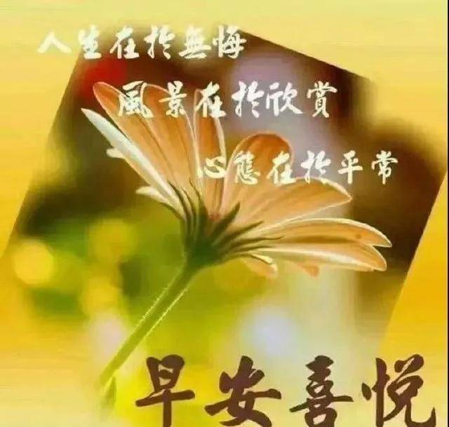 原創夏季早上好問候語圖片大全暖心早上好微信動態表情圖