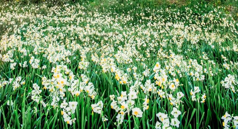 家电服务不能赠品化，超长包修和终身包换尽量少搞！-家电圈官网