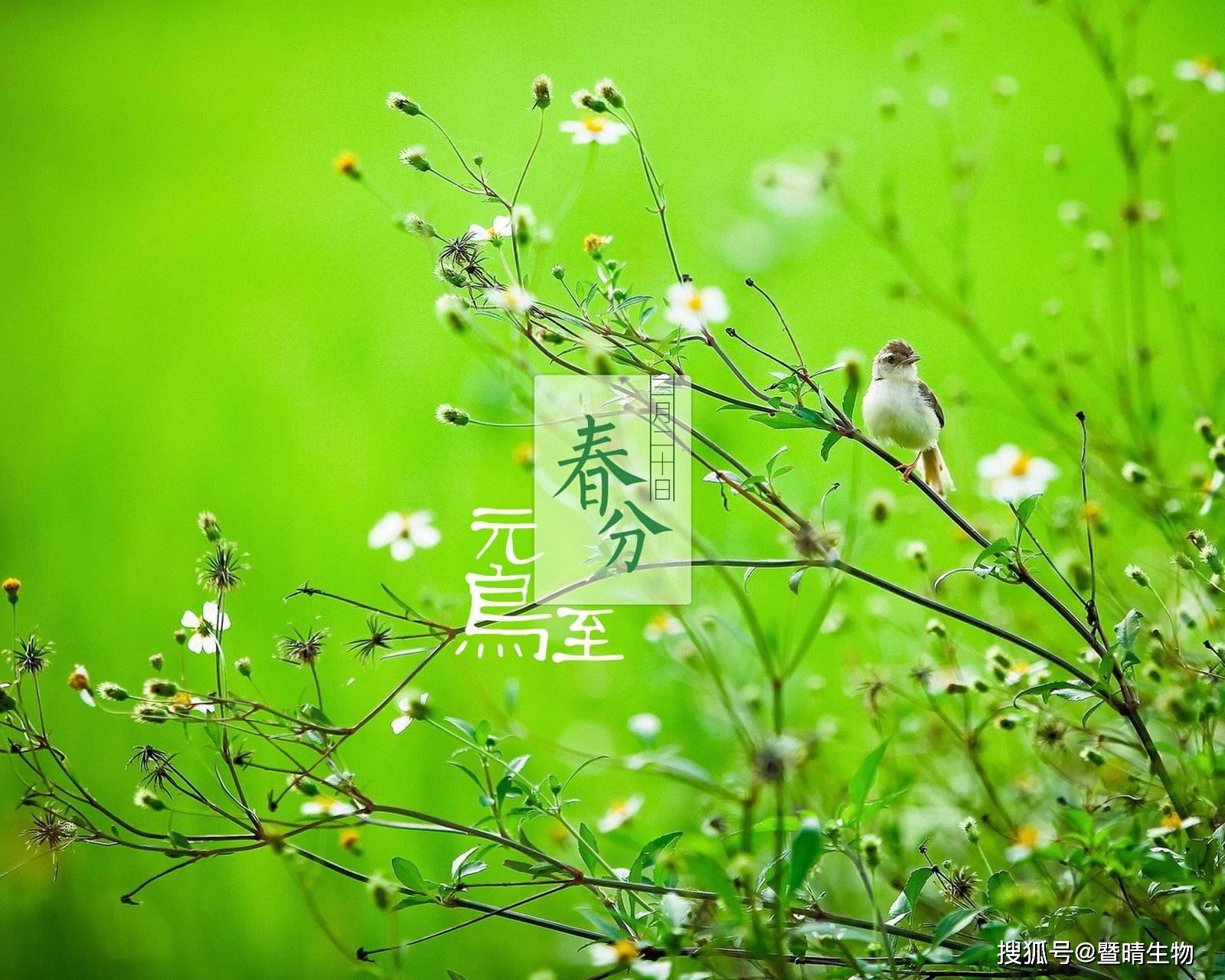 e324bdb9cb244b2e955f713d7c207ec6.jpeg