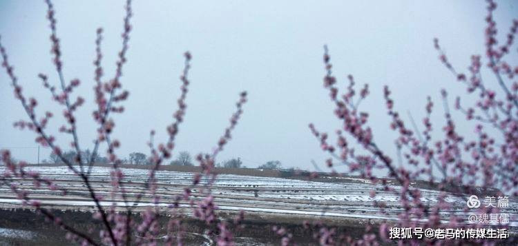 春雪没能挡住摄影师魏其儒的脚步，一起看看春雪下在若笠塬