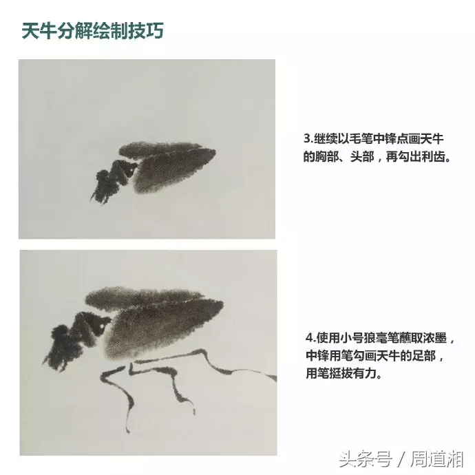 寫意草蟲蜻蜓天牛的畫法