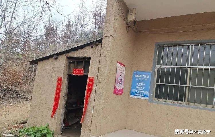 洛宁程志民——桃缘上观(图22)