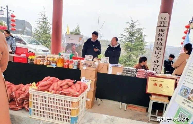 洛宁程志民——桃缘上观(图13)
