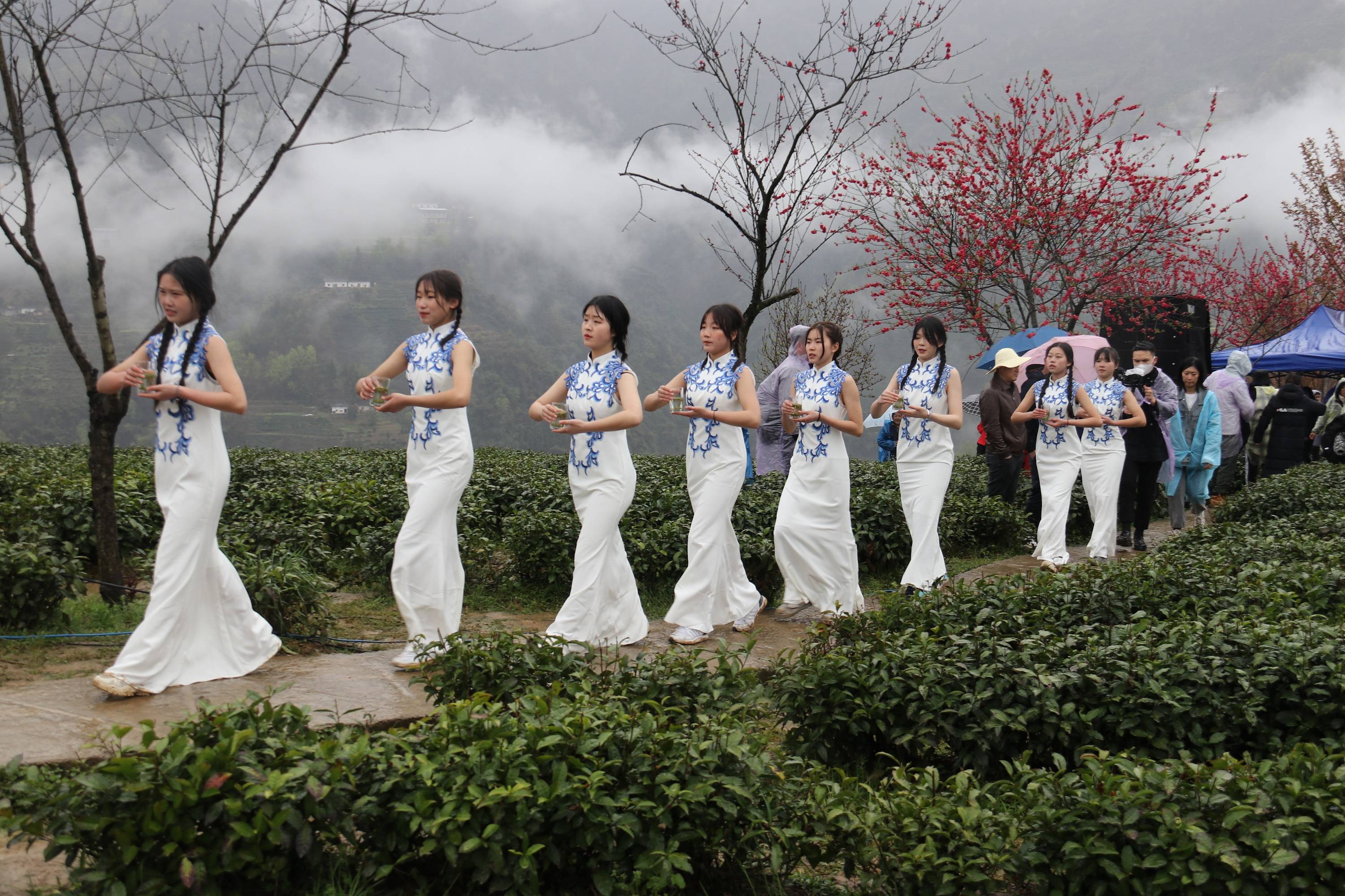 陕西紫阳“春之茶”文化旅游主题活动启幕
