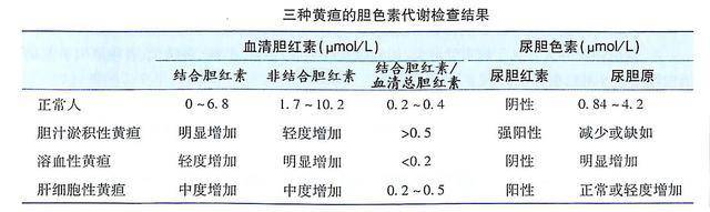 及影像學篩查(主要反映肝細胞損害及功能的指標和反映膽汁淤積的指標)