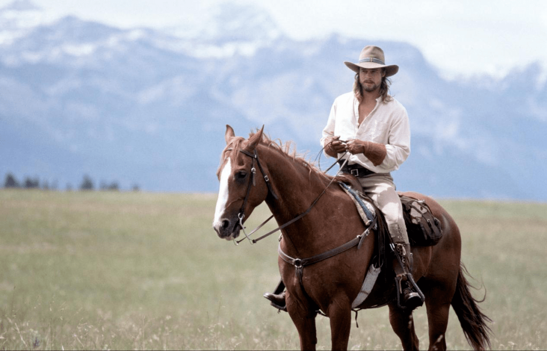 (《与狼共舞》(上)《燃情岁月》(下))