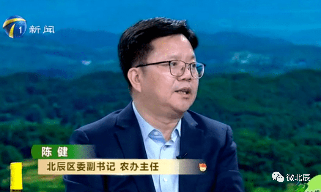 乡村振兴怎么干 | 区领导做客演播室,畅谈北辰经验