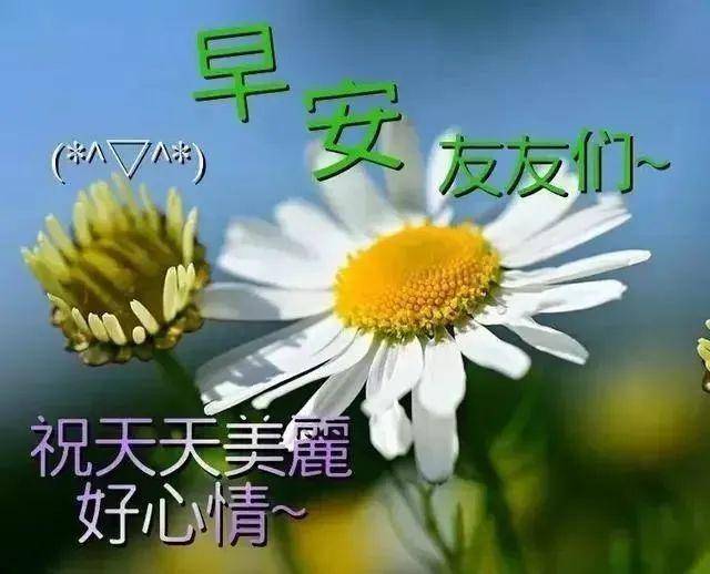40b52641a4254fcc91ada7ffd6ec8813.jpeg