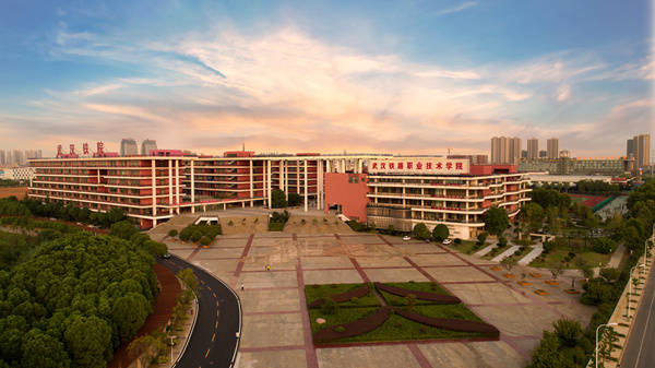 武汉铁路职业技术学院始建于1956年,时名铁道部武汉铁路运输学校,1960