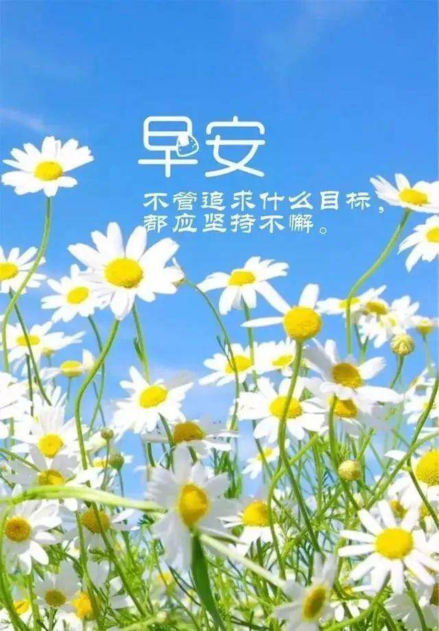 原創早安祝福語短信大全早上好陽光正能量圖片帶字帶祝福語