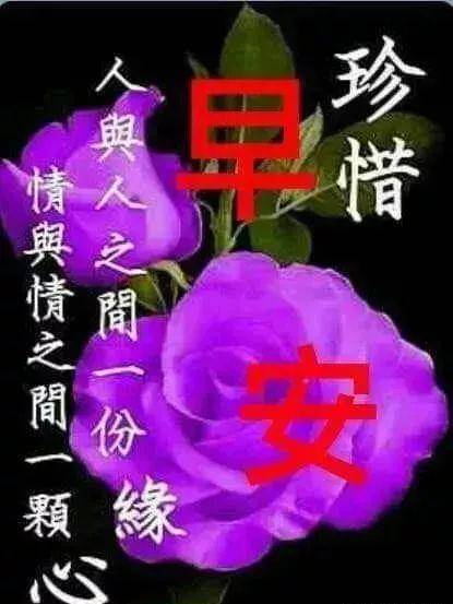 a83dfb70e53846baaa6a5a343945ca4e.jpeg