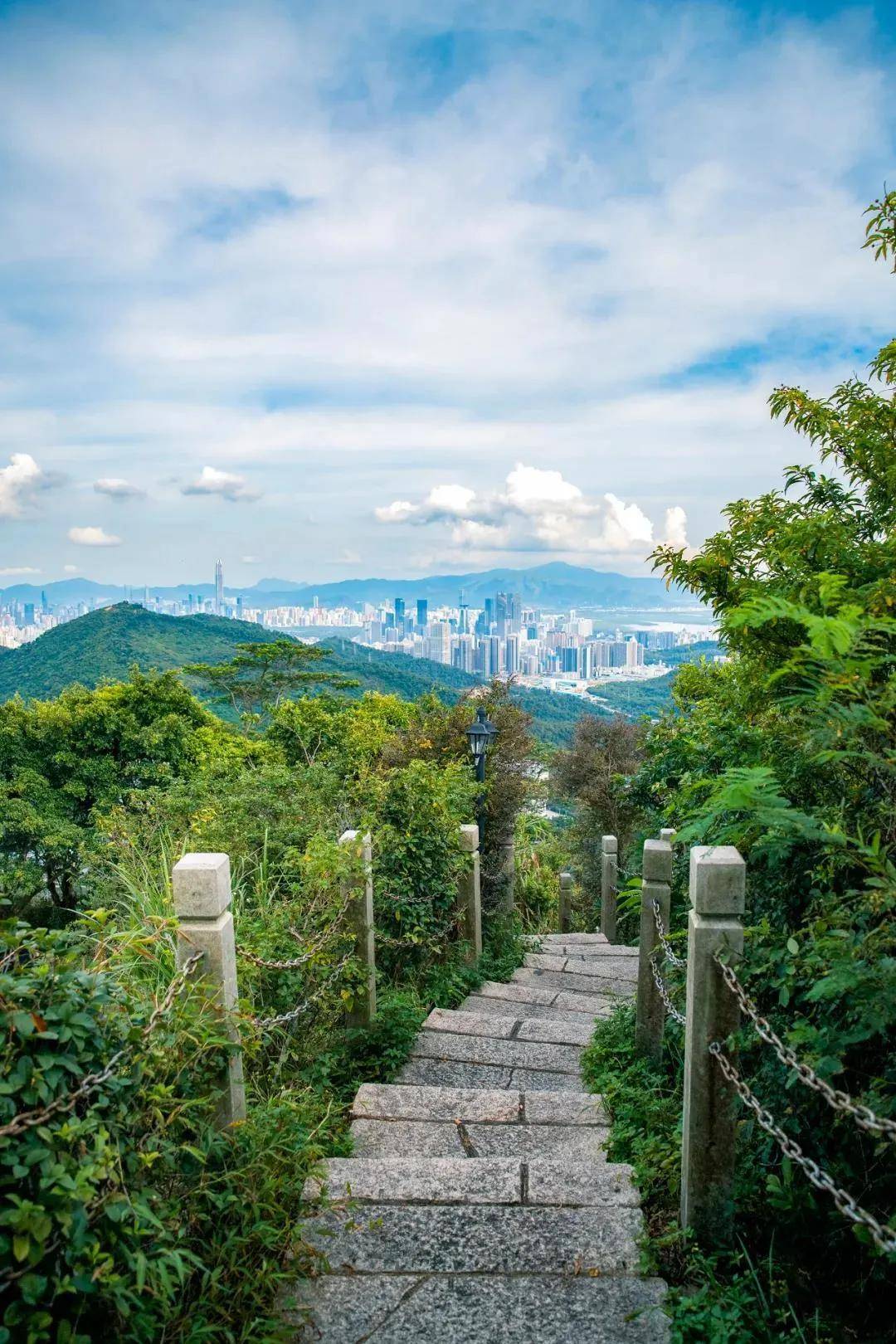 深圳最适合上班族爬的山，430米观景台，原始丛林登山道，还有野生的猕猴