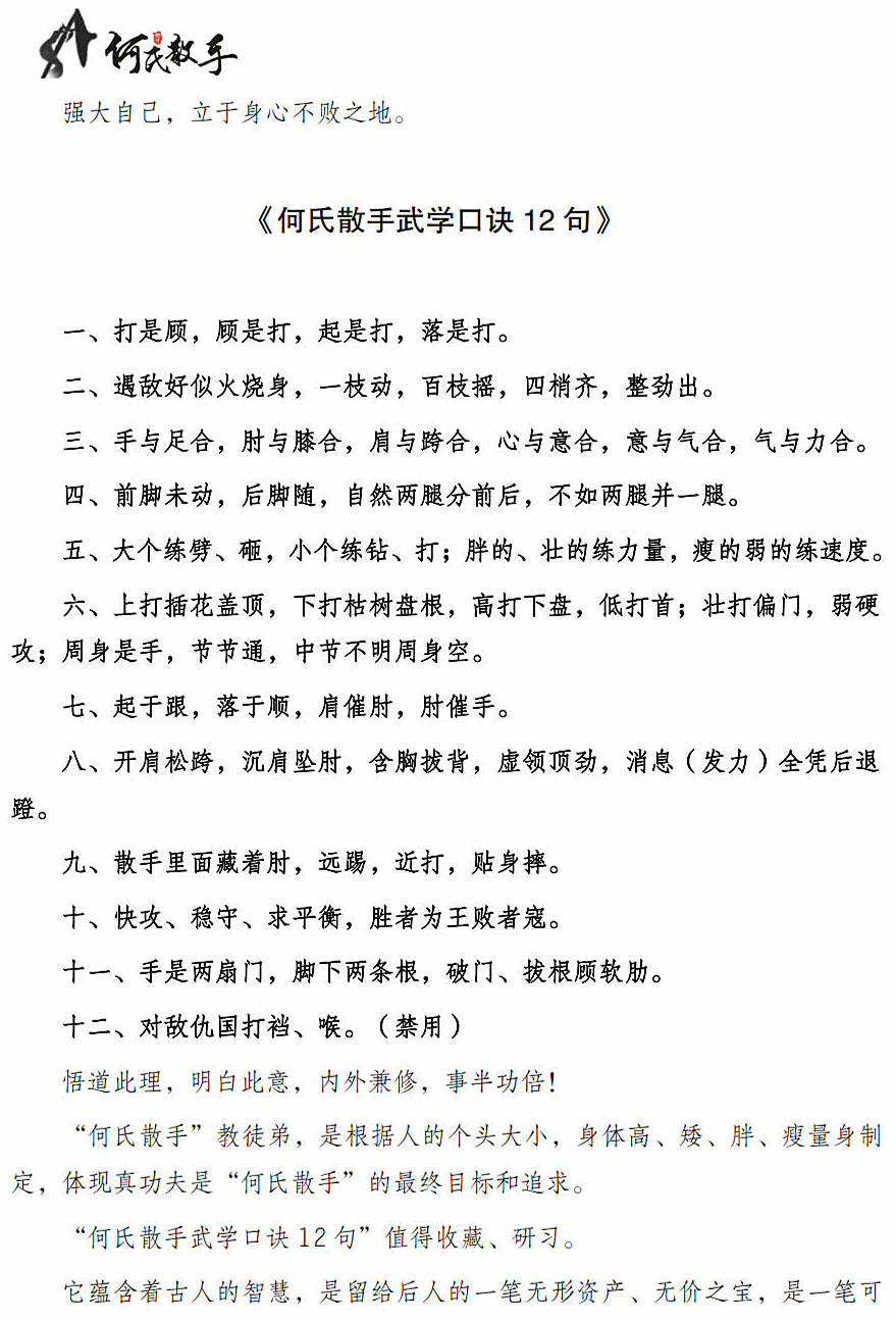 《武术世家"何氏散手"——实战》节选:"何氏散手武学"口诀