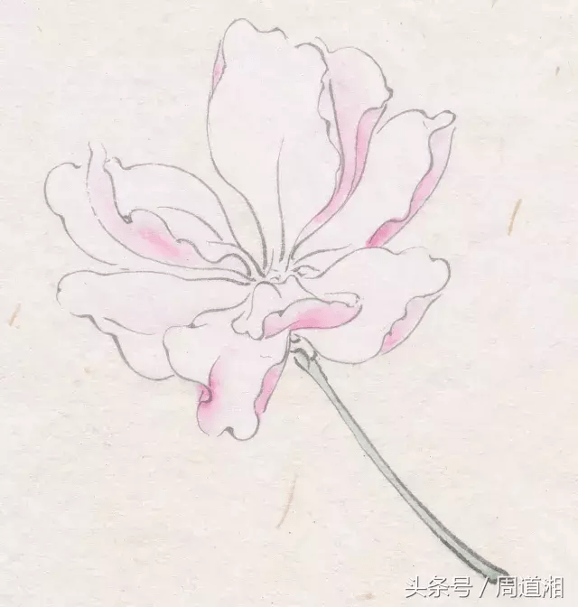 工笔是哪种绘画技术 1d2c0af7c9e54eb2840b729f19a58e1b.png