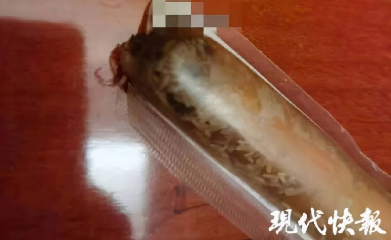 有图慎点知名零食品牌小吃被曝生蛆很多长春人都买过