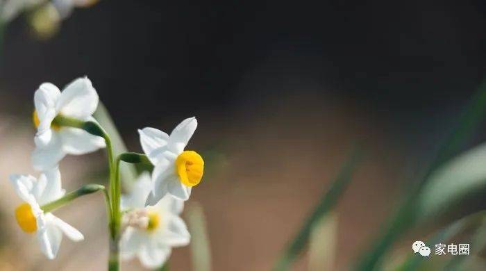 智能家居是大趋势，但成套和智能家电的“陷阱”有不少-家电圈官网