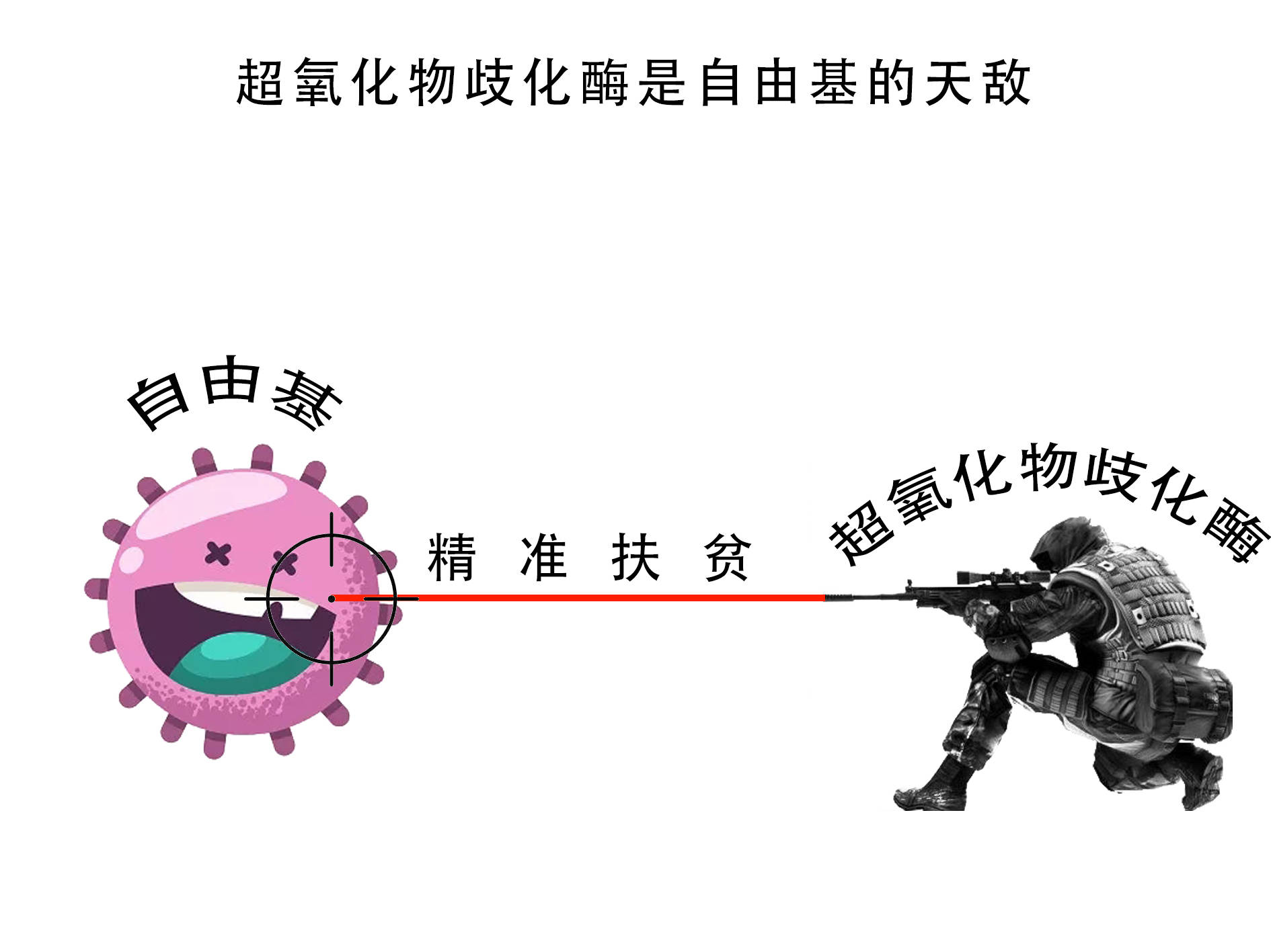 关于超氧化物歧化酶sod你还不知道的冷知识生物秘码原创